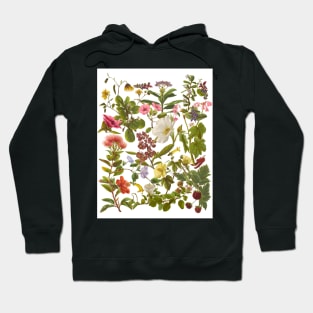 Native Hawaiian Flowers Botanical Design Hoodie